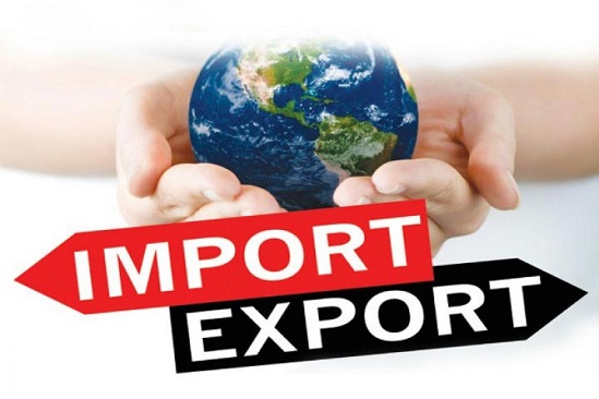 Import Export Consultants