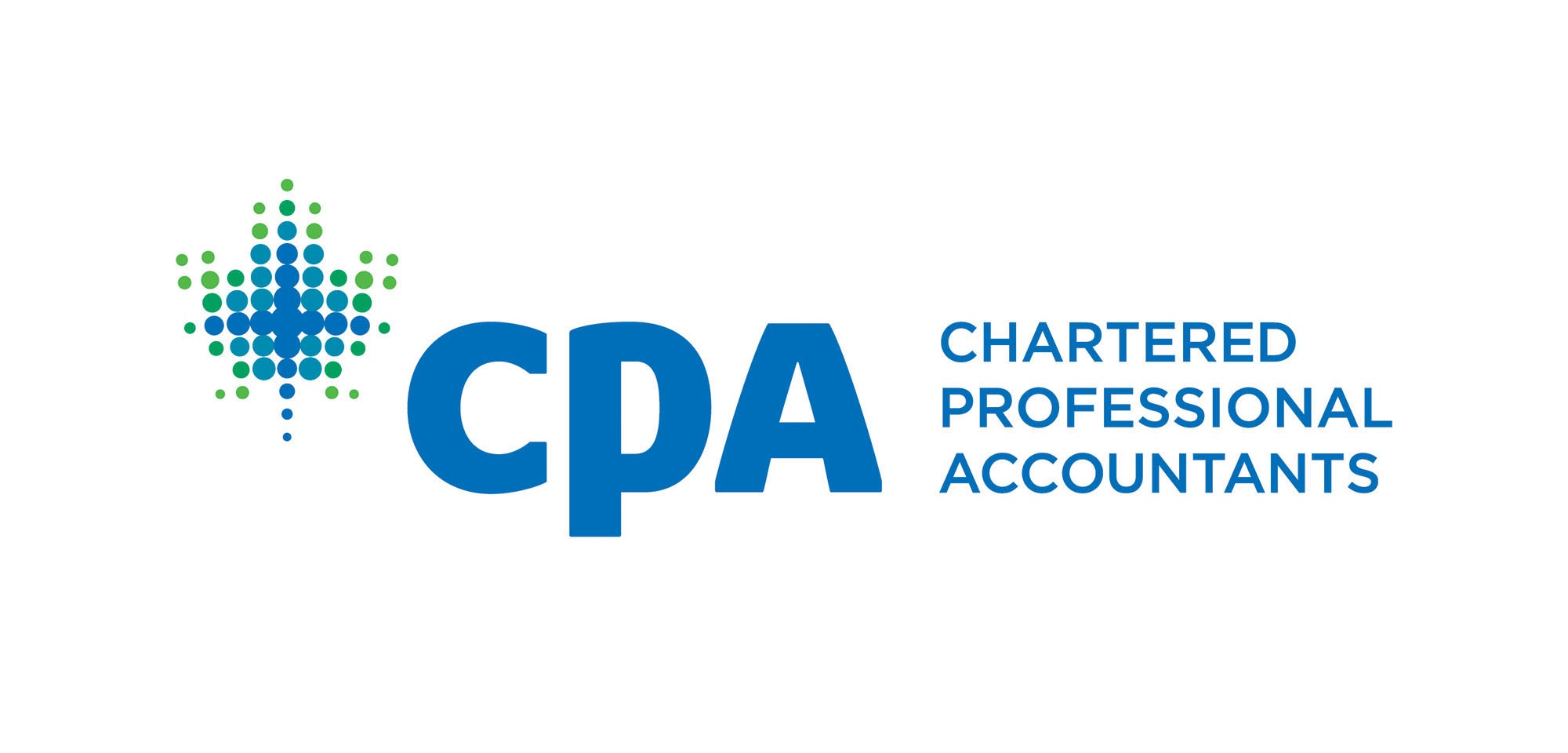 Professional Chartered Accountant